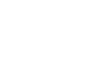 https://pinnacle365.com/wp-content/uploads/2021/08/Pinnacle365_logo_L-WHITE-300x232.png?_t=1629150865
